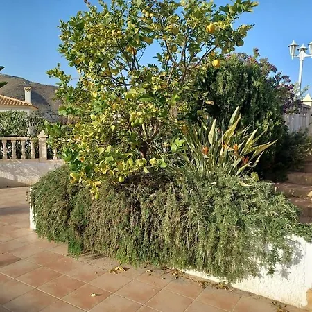 Casa Los Olivos, Villa With A Pool Alicante Esterno foto