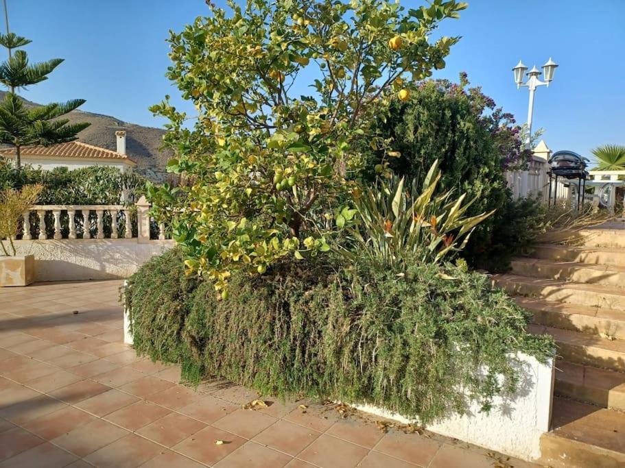 Casa Olivos, With A Pool